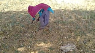 Cowok India Lokal Ngentot Pacarnya Yang Seksi Saat Kerja Di Ladang